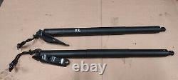 Bmw X2 F39 Electric Boot Tailgate Struts Pair Left And Right Power Lift 17893910