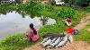 Fishing Video Fishing Techniques Are Very Simple If The Right Method Is Known Village Fishing