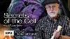 Michael Behe Unravels The Mystery Of Biological Information Secrets Of The Cell Ep 8