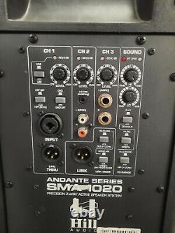 Pair of Hill Audio SMA1020 Powered 10 Speaker